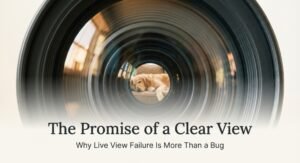 smart camera live view not working